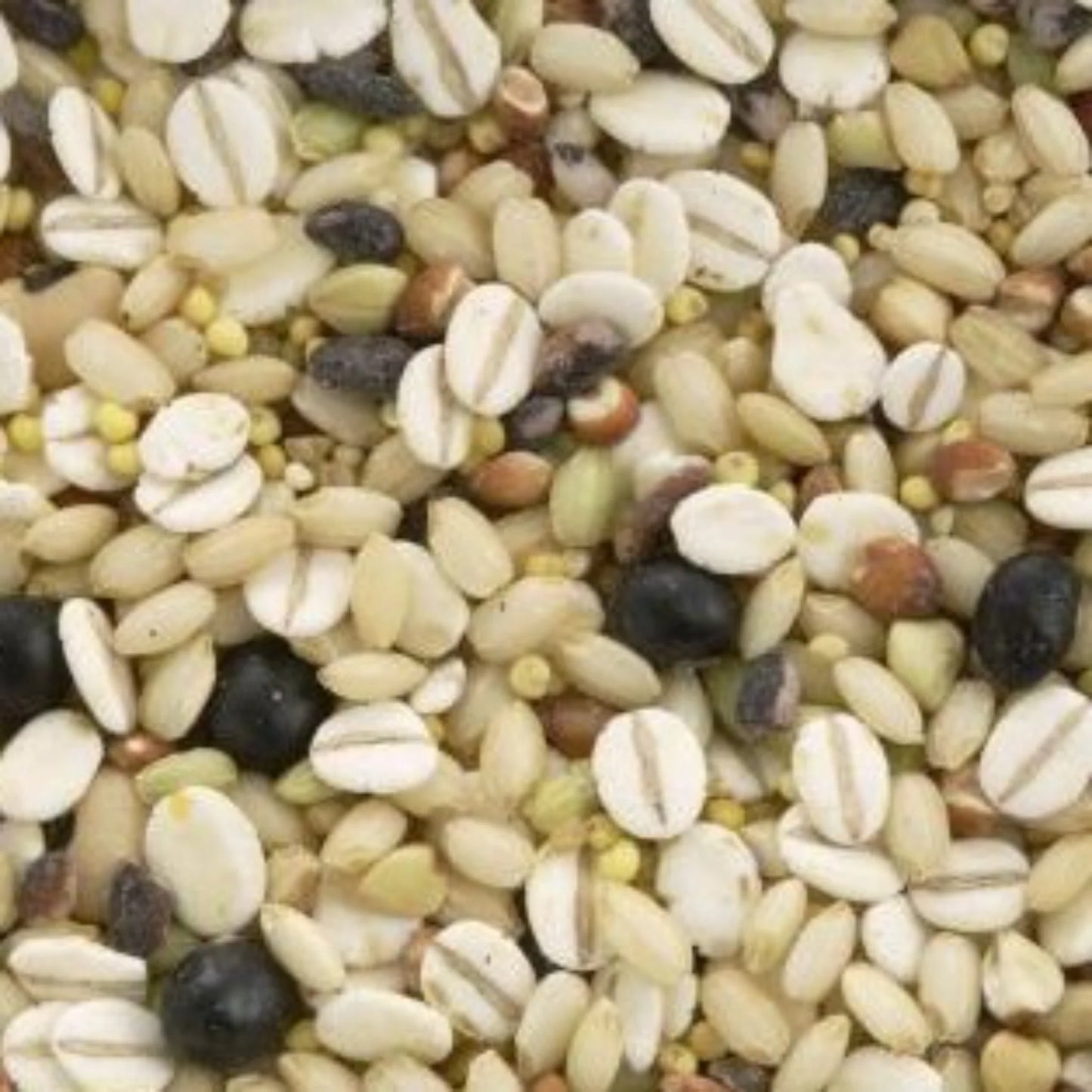 Millet for Rice 10 grains -彩り十穀 150g-