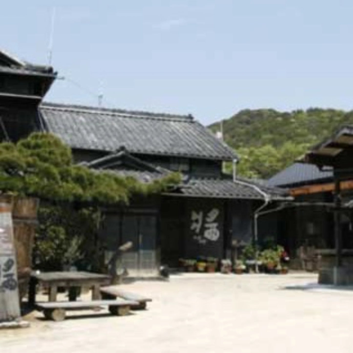 Dashi soy sauce"Kikutsuyu" -菊つゆ だし醤油-