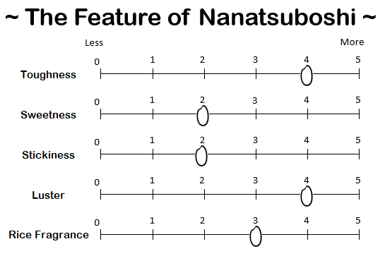 NANATSUBOSHI from HOKKAIDO - 北海道 ななつぼし 2025年産