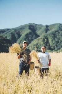 Organic Shinshu Barley Tea (Light Roast) -信州麦茶 浅煎り- 10g x 20pcs