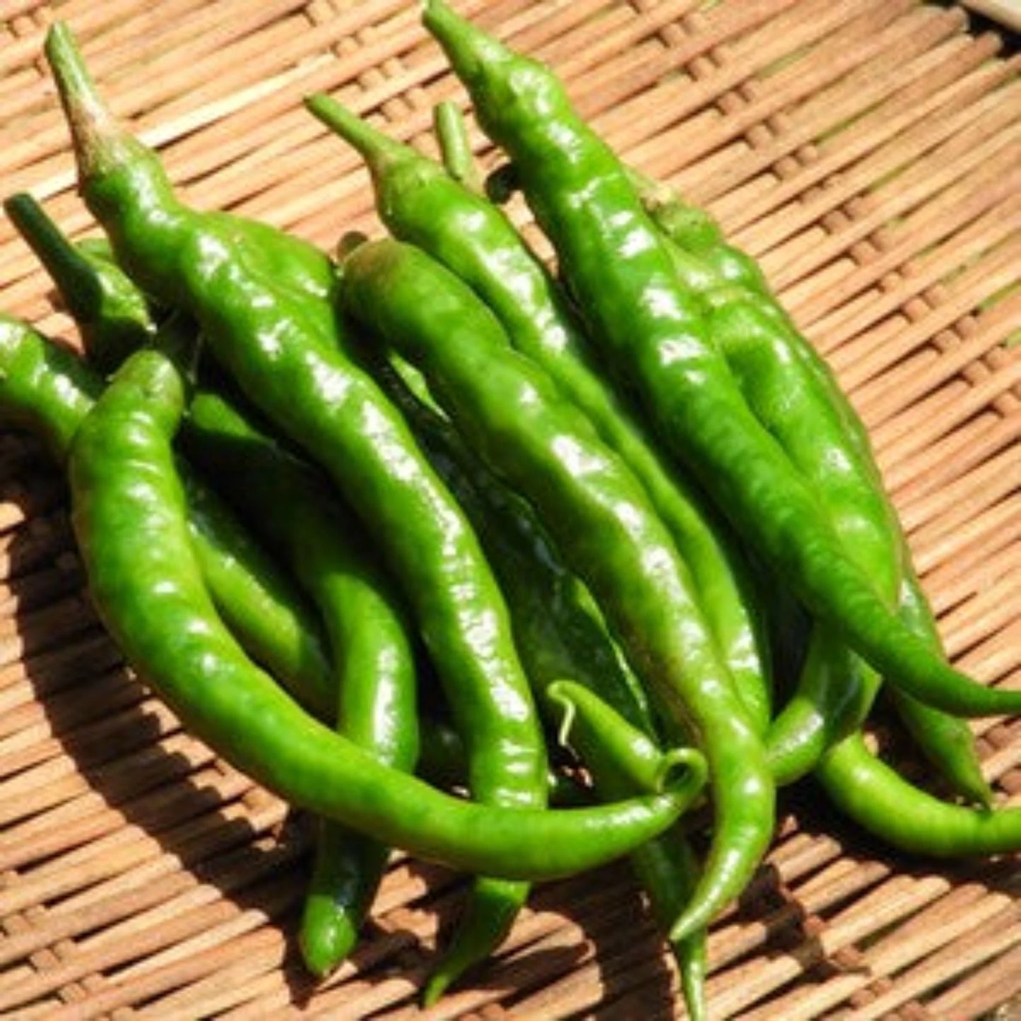 Additive-free Yuzu kosho -無添加ゆずこしょう- 45g